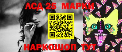 МДПВ Новодвинск