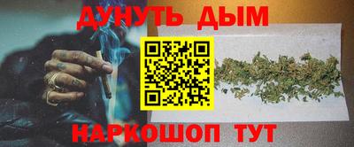 МДПВ Новодвинск